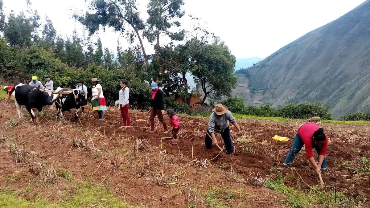Sin registro, productores agrarios podrían perder beneficios
